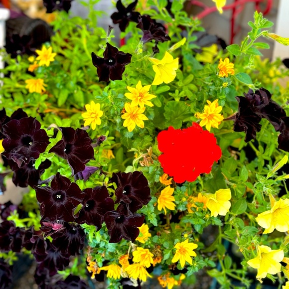 This is not a “ sell” post 🫶🏻 - Picture 1 of 1